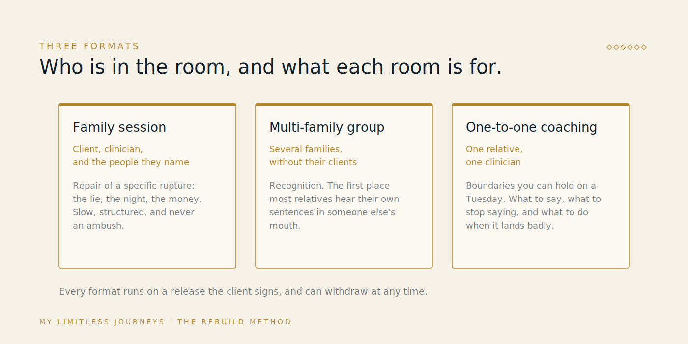 Three-panel comparison of the family therapy formats at My Limitless Journeys: the family session with the client and the people they name, the multi-family group of several families without their clients, and one-to-one coaching for a single relative with a clinician