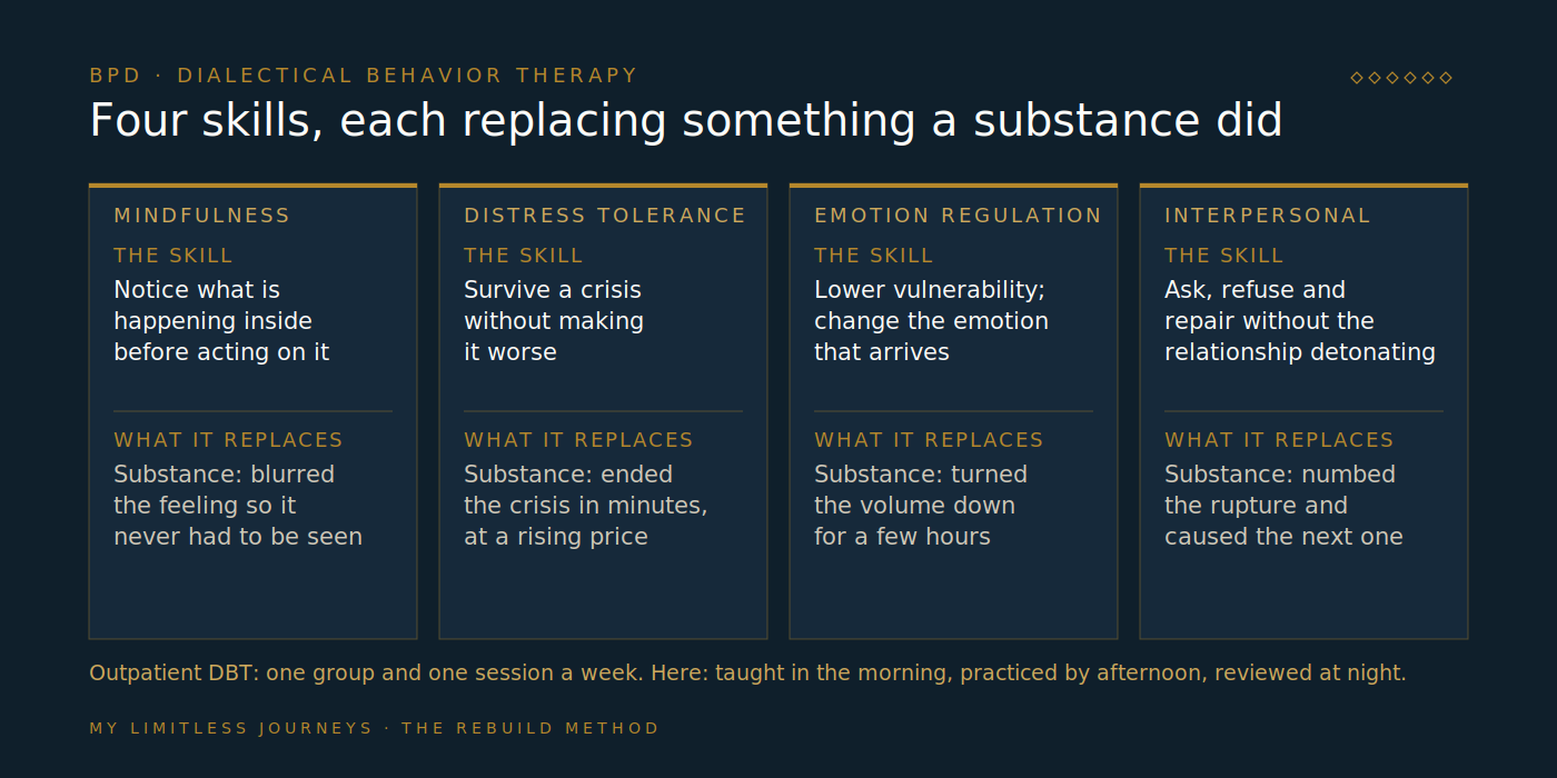 Diagram mapping the four DBT skill modules, mindfulness, distress tolerance, emotion regulation and interpersonal effectiveness, against the job a substance was doing in each area, and showing how daily practice in a six-bed setting replaces the substance with a skill
