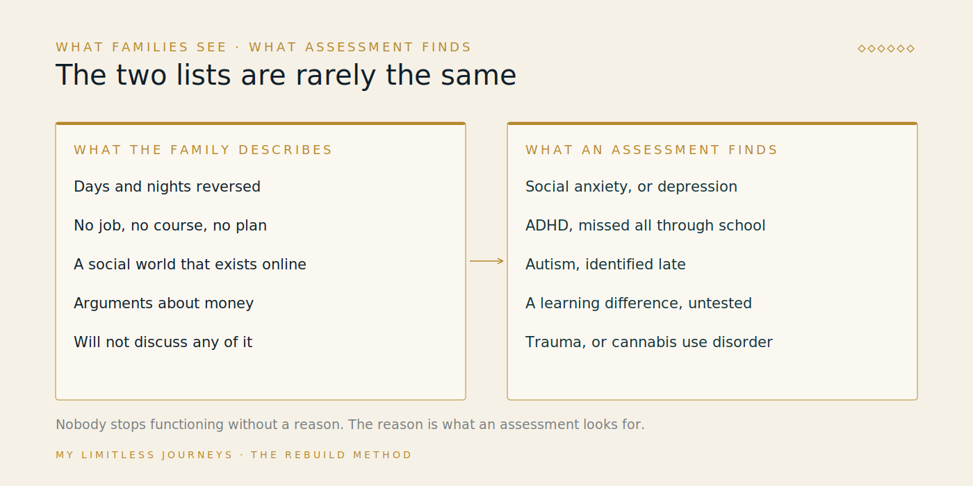 Two-column diagram contrasting the visible pattern a family describes, including days and nights reversed, no work or study, a social life that exists only online, conflict about money and an adult child who will not leave the house, with the treatable conditions clinicians usually find underneath it: social anxiety, depression, ADHD, autism, learning differences, trauma and cannabis or alcohol use disorder