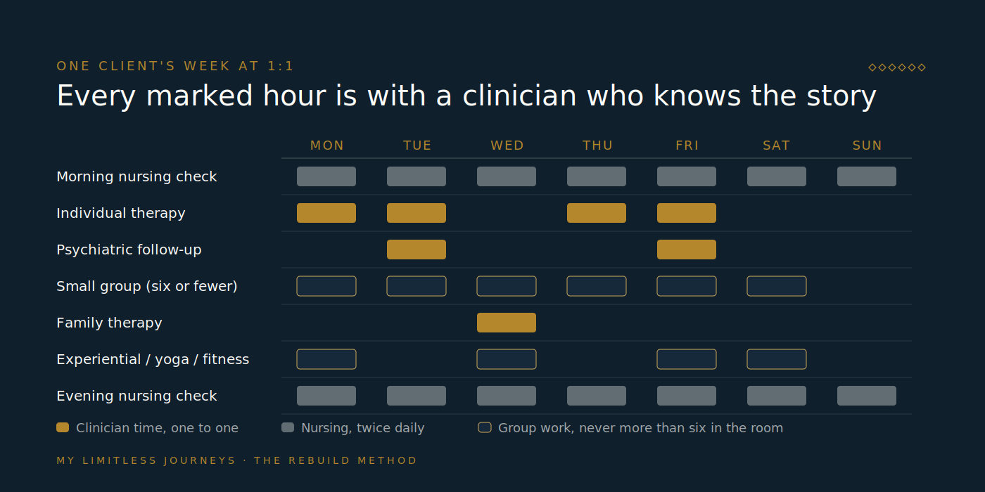 A seven-day schedule grid for one MLJ client showing daily individual therapy contact, nursing checks morning and evening, psychiatric follow-up, small group sessions, family therapy, and experiential work, with each clinical touchpoint marked
