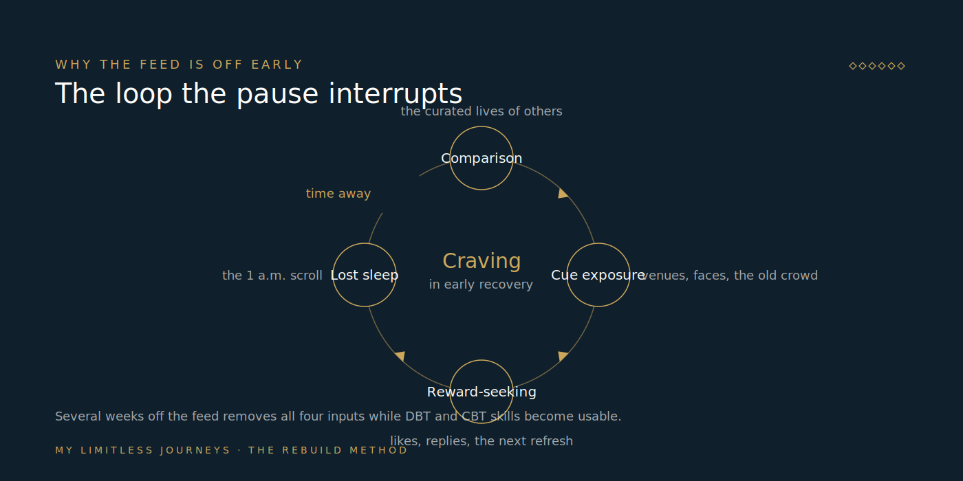 Diagram showing how the feed feeds craving in early recovery: comparison, late-night scrolling, cue exposure, and reward-seeking arranged as a loop, with a break in the loop labeled time away