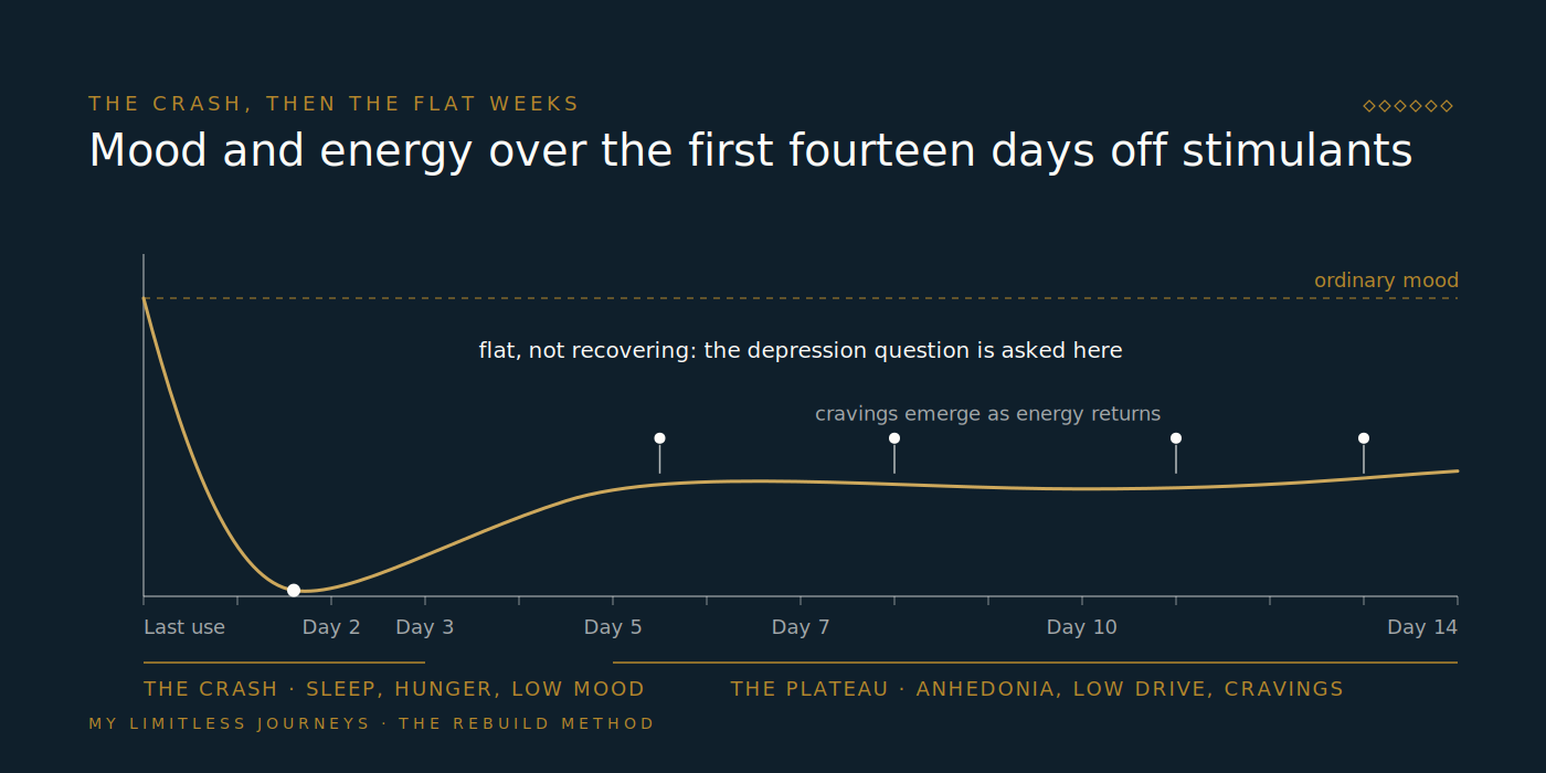 Line graph of mood and energy across the first fourteen days of stimulant withdrawal, showing a deep crash in the first three days, a slow partial recovery, and a flat anhedonic plateau from days five through fourteen with cravings marked as they emerge